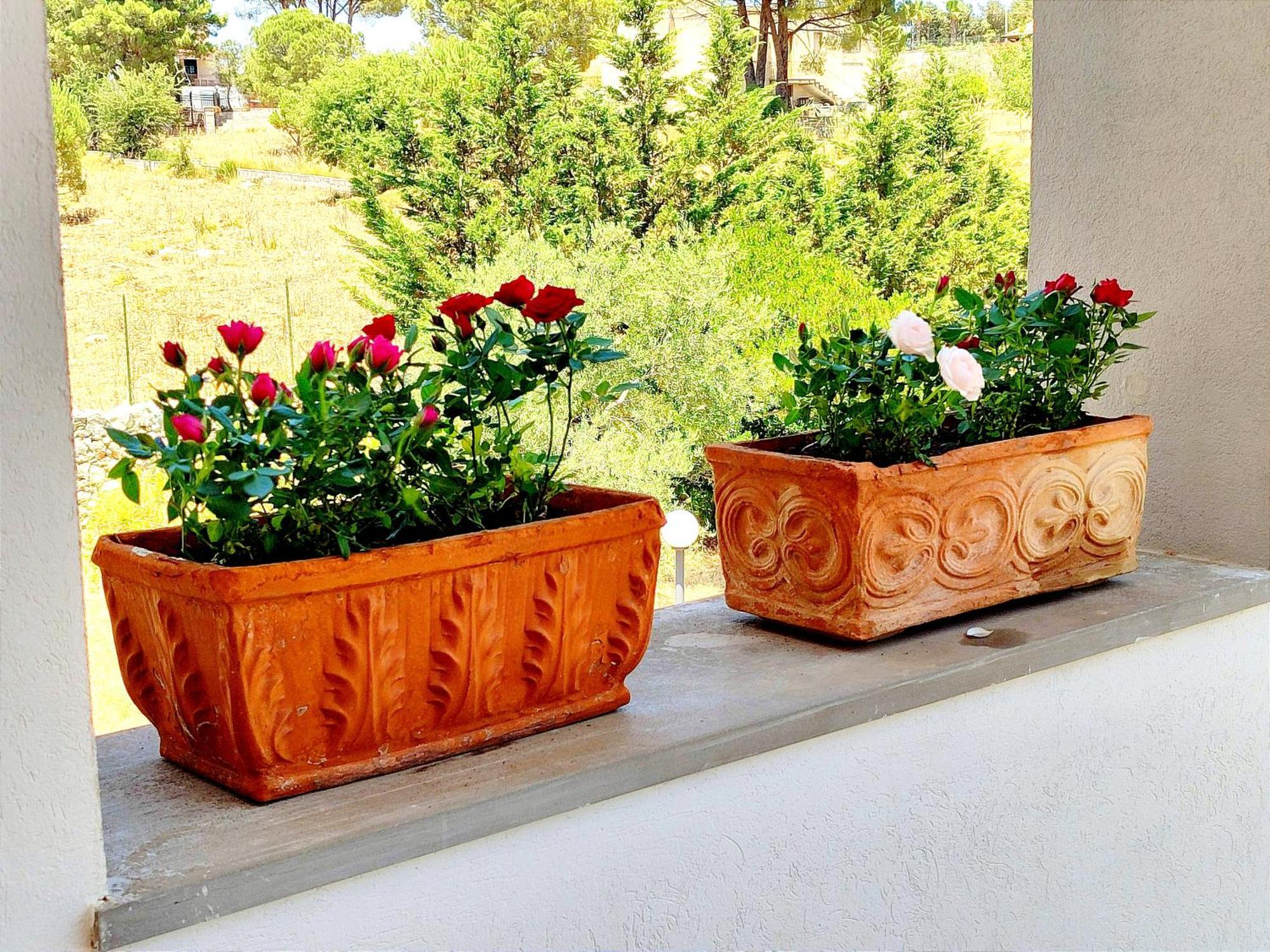 Villa Orizzonte Sullo Jonio Avola Ngoại thất bức ảnh