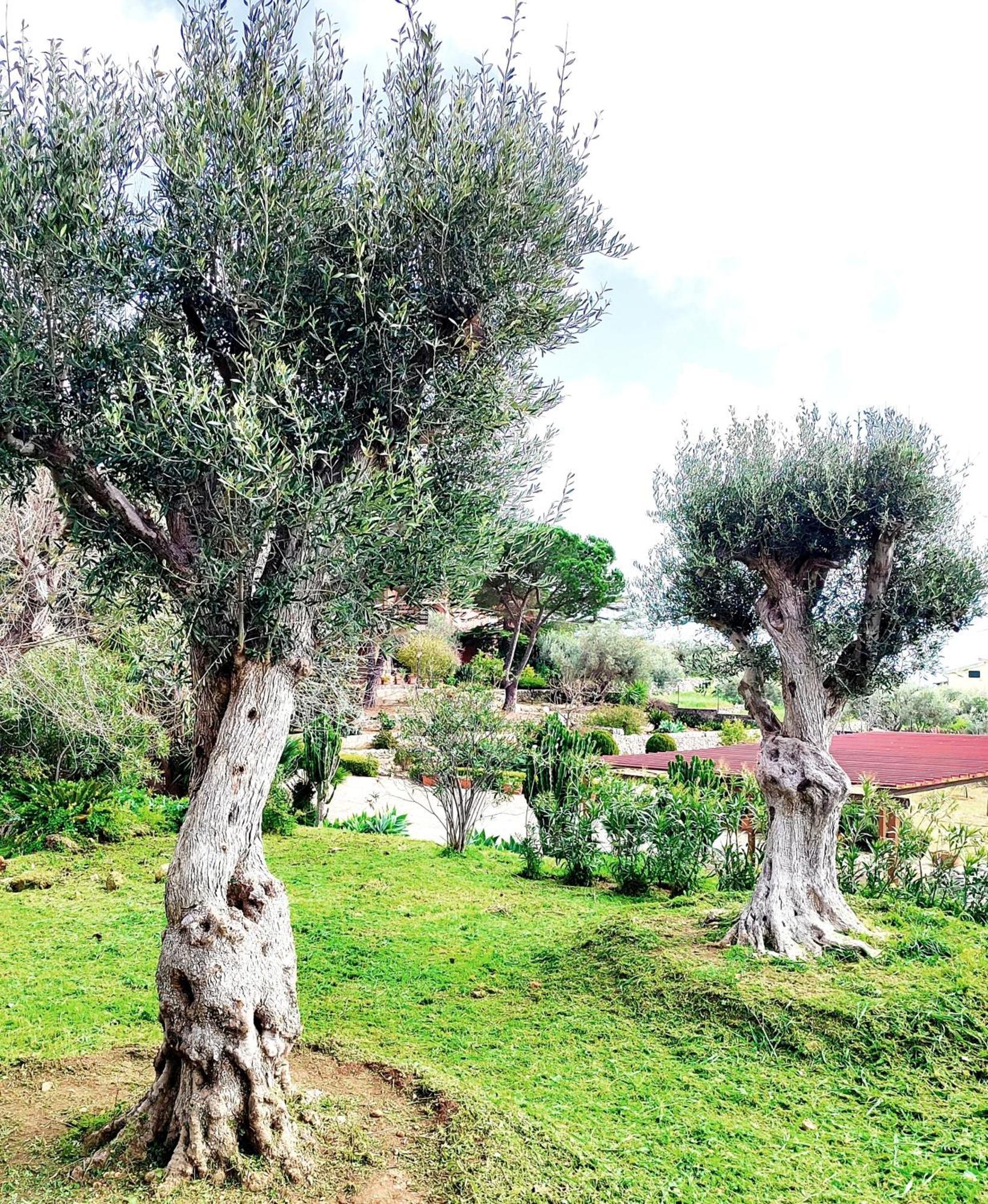 Villa Orizzonte Sullo Jonio Avola Ngoại thất bức ảnh